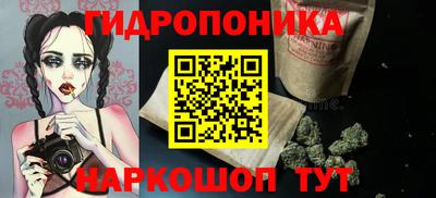 спиды Ачхой-Мартан