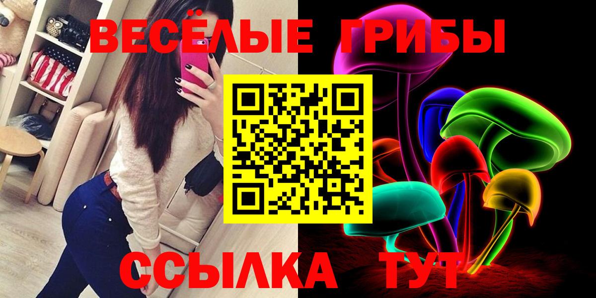 Галлюциногенные грибы Magic Shrooms  Вход с VPN  Ногинск  Галлюциногенные грибы Magic Shrooms 